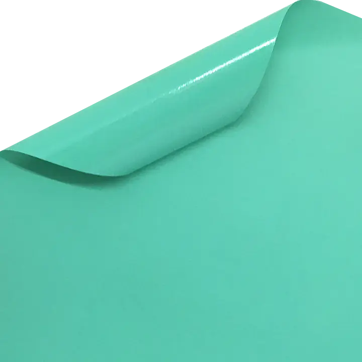 ORACAL 631 055 M Mint matt