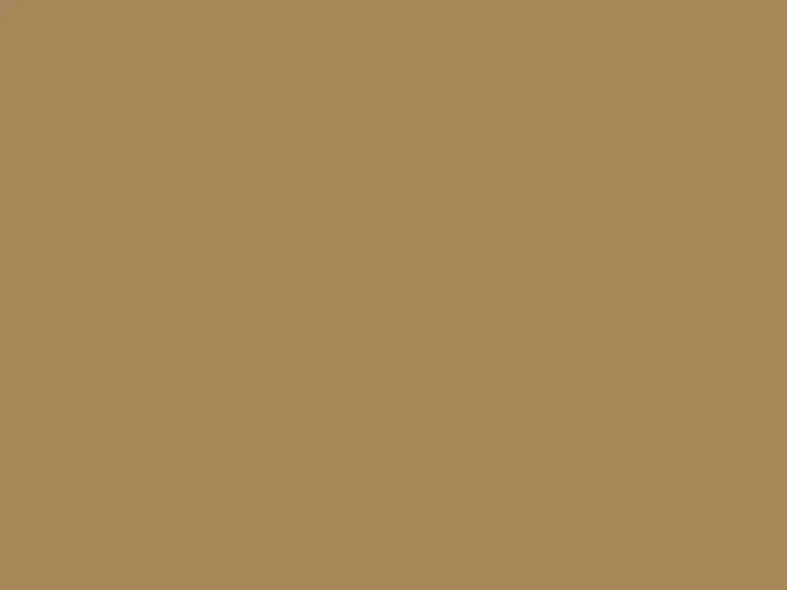 ORACAL 631 081 M Hellbraun matt — #A8875A
