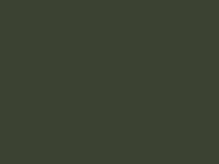 Oracal 970 RA 285 M Nato olive Matt raw color