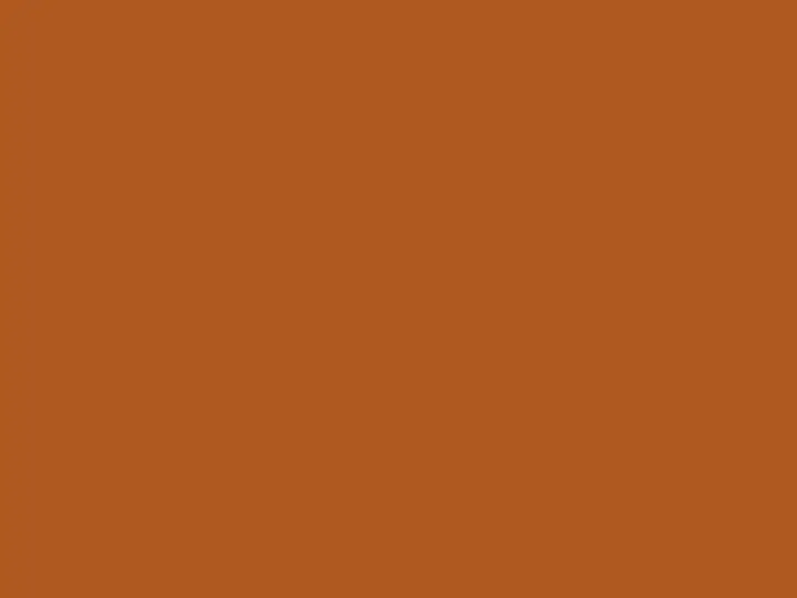 ORACAL 651 083 M Nussbraun matt raw color